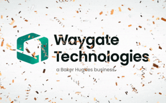 工業(yè)內(nèi)窺鏡廠家Waygate Technologies介紹 工業(yè)內(nèi)窺鏡廠家Waygate Technologies介紹